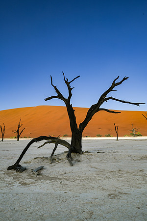 20220419_namibia-3050.jpg