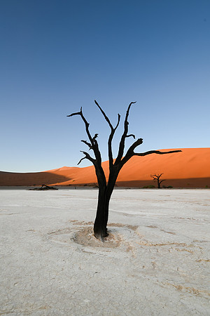 20220419_namibia-3206.jpg