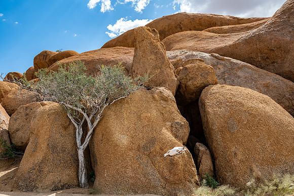 20220419_namibia-15097.jpg