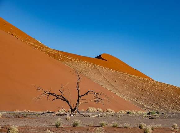 20220419_namibia-7104.jpg