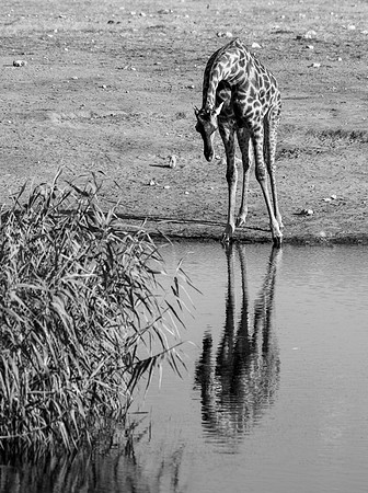 20220419_namibia-20169-2.jpg