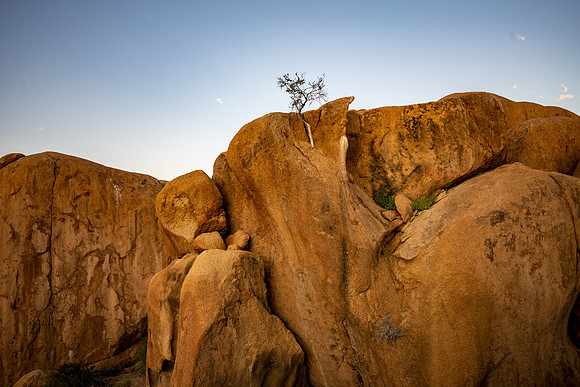 20220419_namibia-14665.jpg