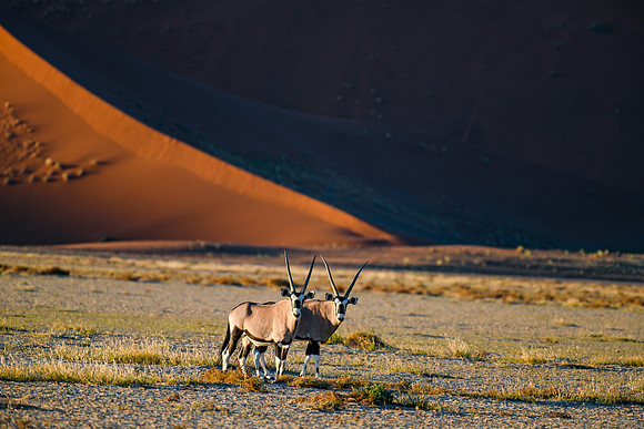 20220419_namibia-7437.jpg