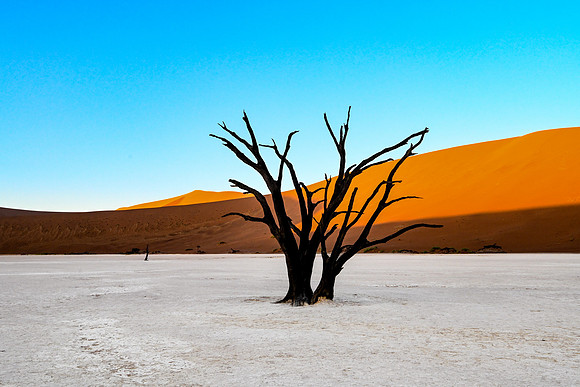 20220419_namibia-3057.jpg