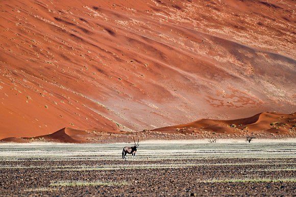 20220419_namibia-7135.jpg