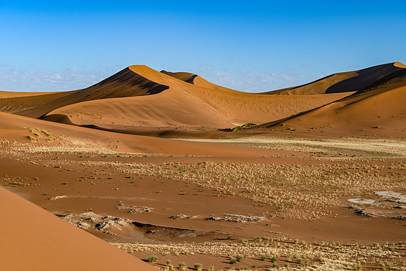 20220419_namibia-7634.jpg