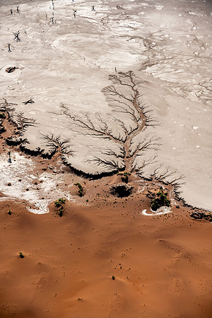 20220419_namibia-9513.jpg