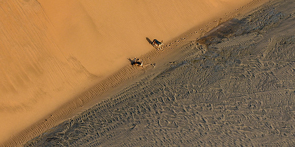 20220419_namibia-1492.jpg