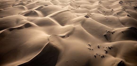 20220419_namibia-4292.jpg