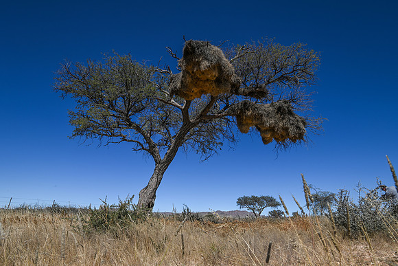 20220419_namibia-2227.jpg
