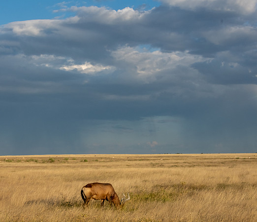 20220419_namibia-17564.jpg