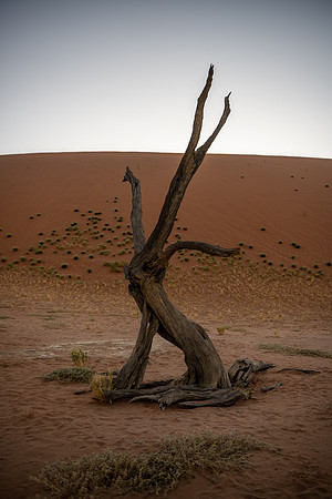 20220419_namibia-5305.jpg