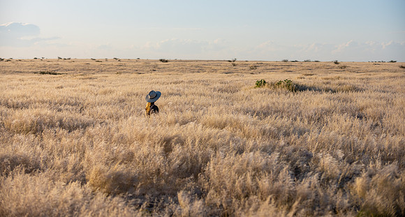20220419_namibia-16645.jpg