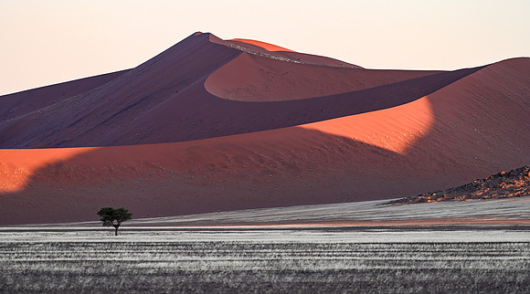20220419_namibia-7589.jpg