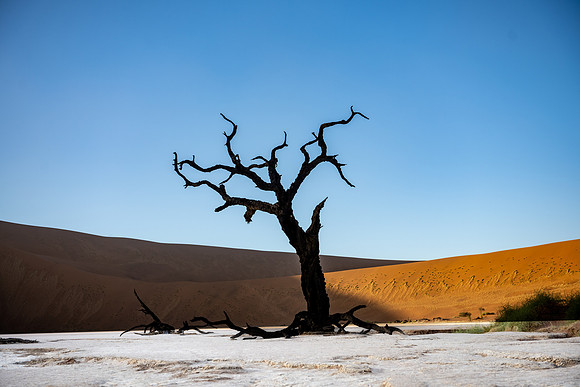 20220419_namibia-6846.jpg