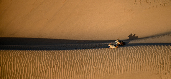 20220419_namibia-1613-2.jpg