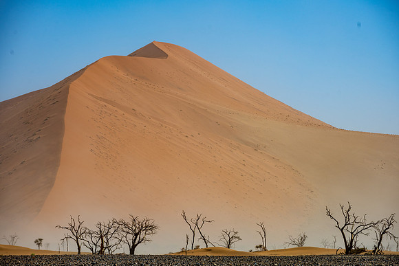 20220419_namibia-5346.jpg