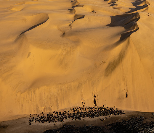 20220419_namibia-2244.jpg