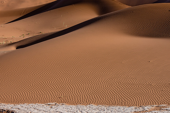 20220419_namibia-9136.jpg
