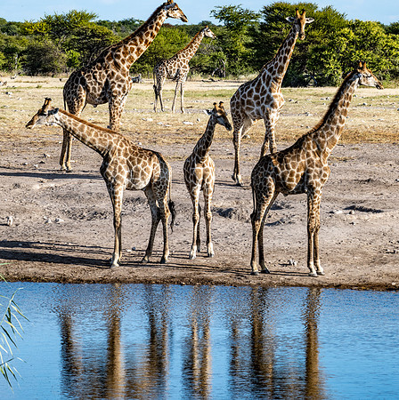 20220419_namibia-21579.jpg
