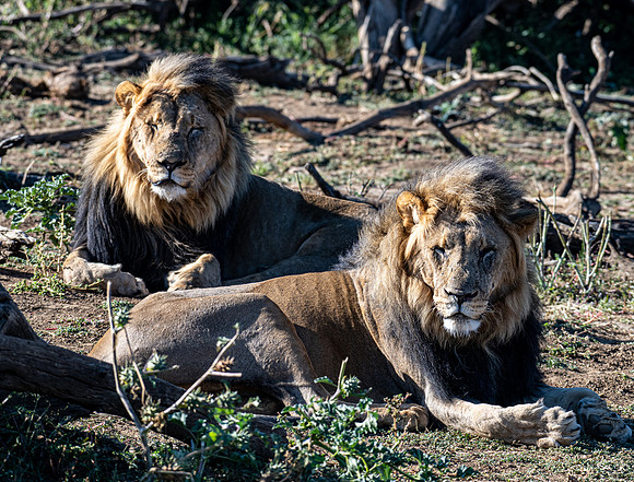 20220419_namibia-8107.jpg
