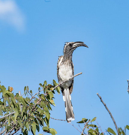 20220419_namibia-18437.jpg