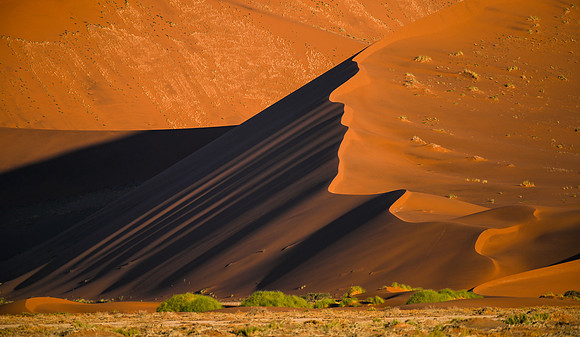 20220419_namibia-4341.jpg