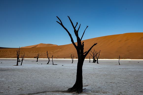20220419_namibia-6248.jpg