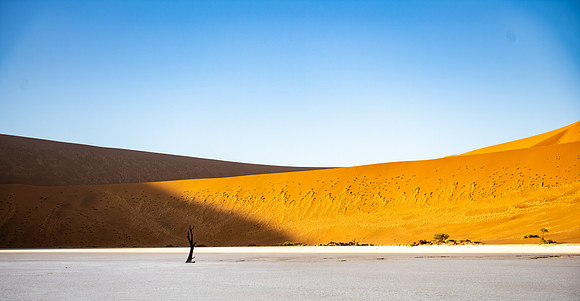 20220419_namibia-6366.jpg