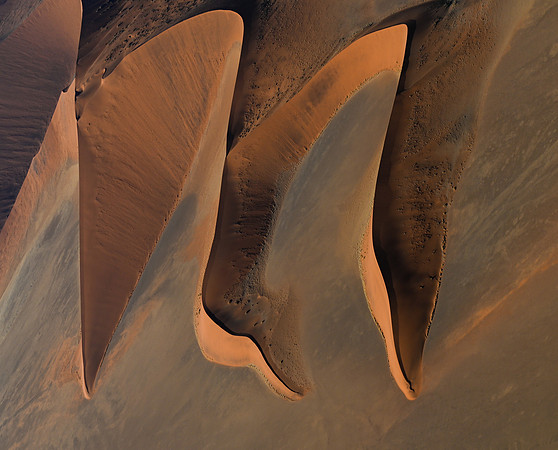 20220419_namibia-7843-2.jpg