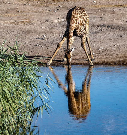 20220419_namibia-21717.jpg