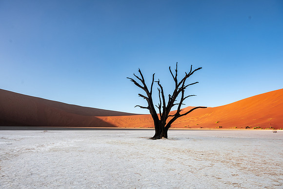 20220419_namibia-6609.jpg
