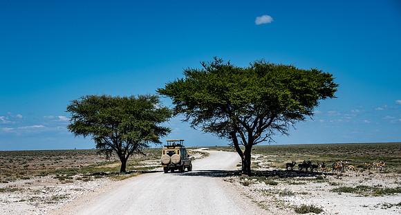 20220419_namibia-17685.jpg