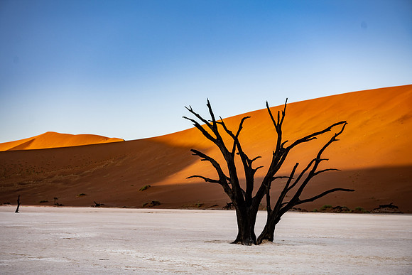 20220419_namibia-5311.jpg