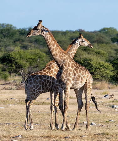 20220419_namibia-21773.jpg