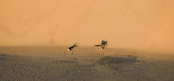 20220419_namibia-2451-2.jpg