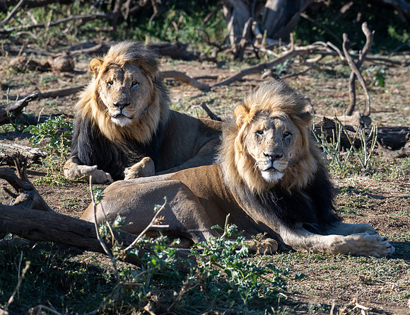 20220419_namibia-7674.jpg