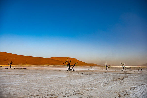 20220419_namibia-6812.jpg