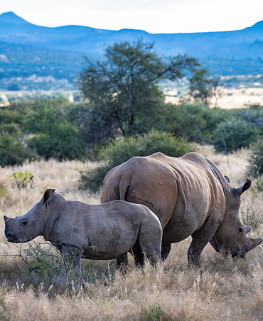 20220419_namibia-128.jpg