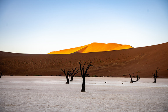 20220419_namibia-6401.jpg