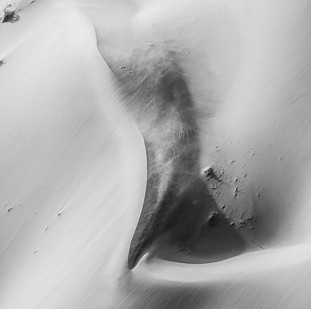 20220419_namibia-1899-2.jpg