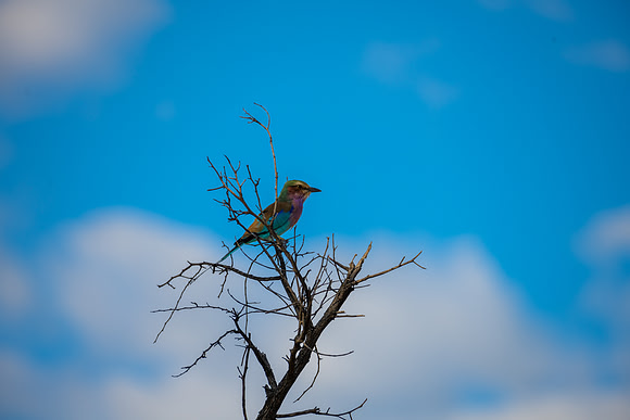 20220419_namibia-317.jpg