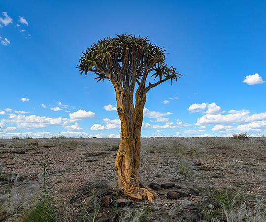 20220419_namibia-5490.jpg