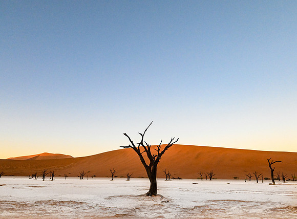 20220419_namibia-2862.jpg