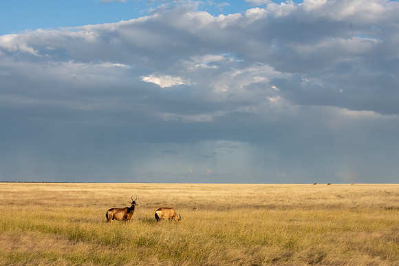 20220419_namibia-17680.jpg