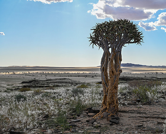 20220419_namibia-5064.jpg