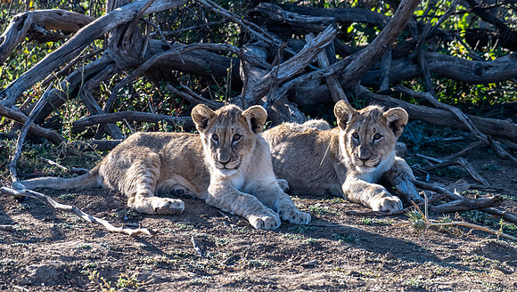 20220419_namibia-7489.jpg