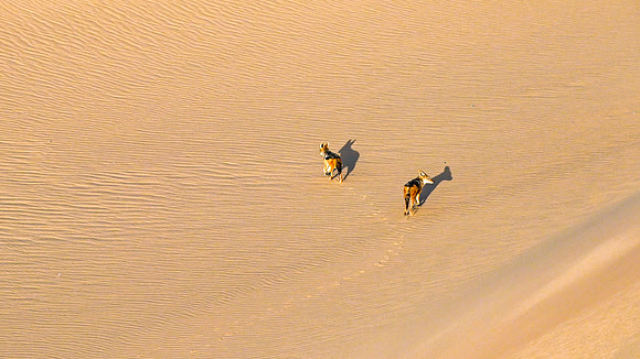 20220419_namibia-1204.jpg