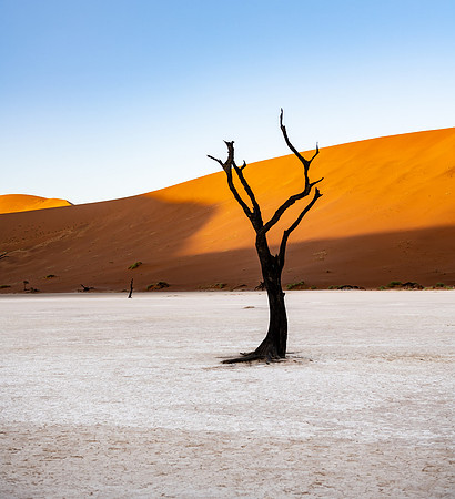 20220419_namibia-6223.jpg