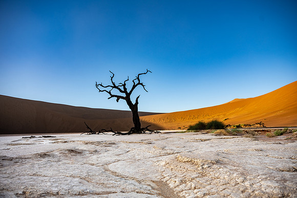 20220419_namibia-5593.jpg